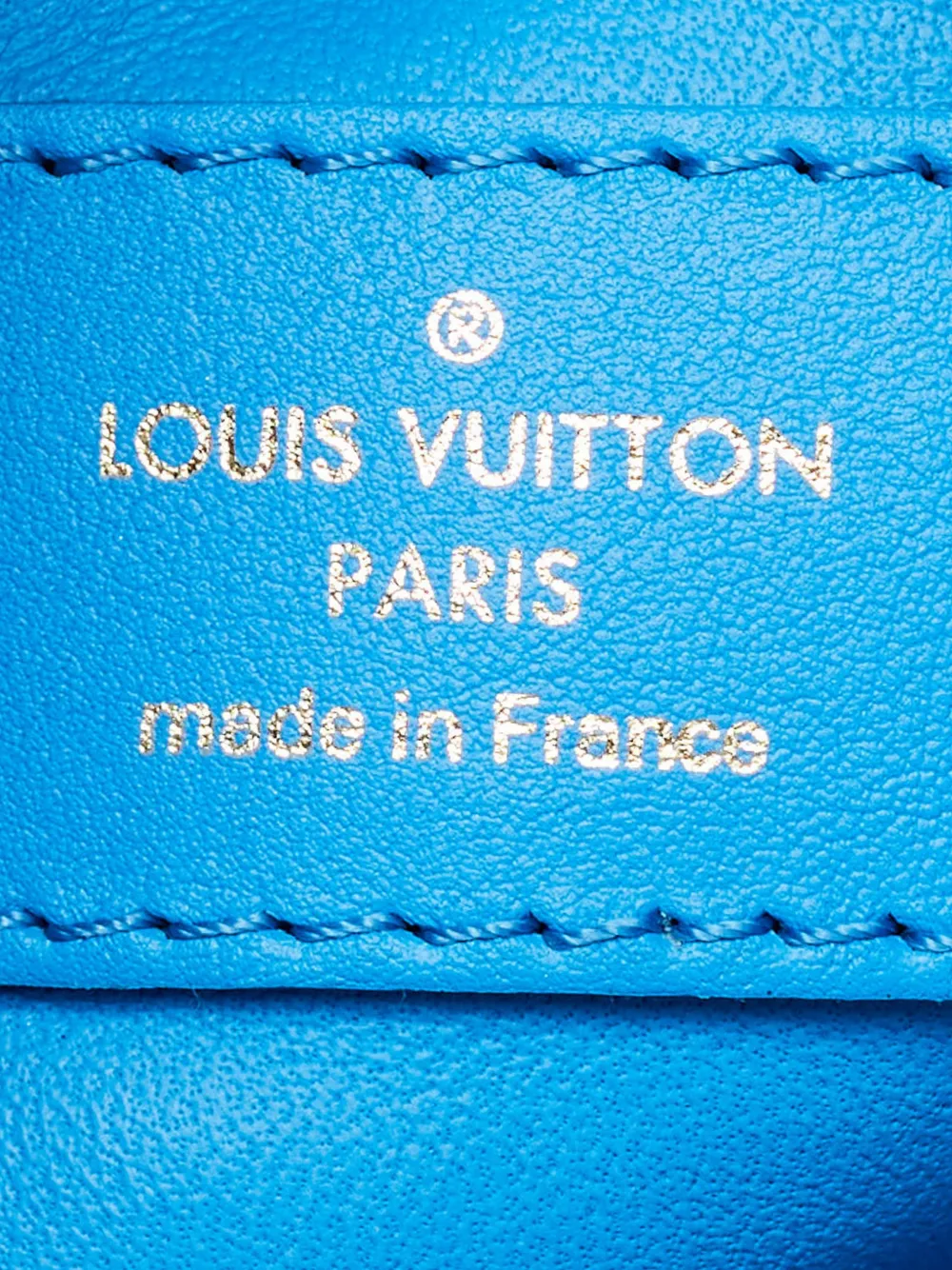 Louis Vuitton Pre-Owned x Jeff Koons 2017 Rubens Palm Springs rugzak met grafische print Blauw
