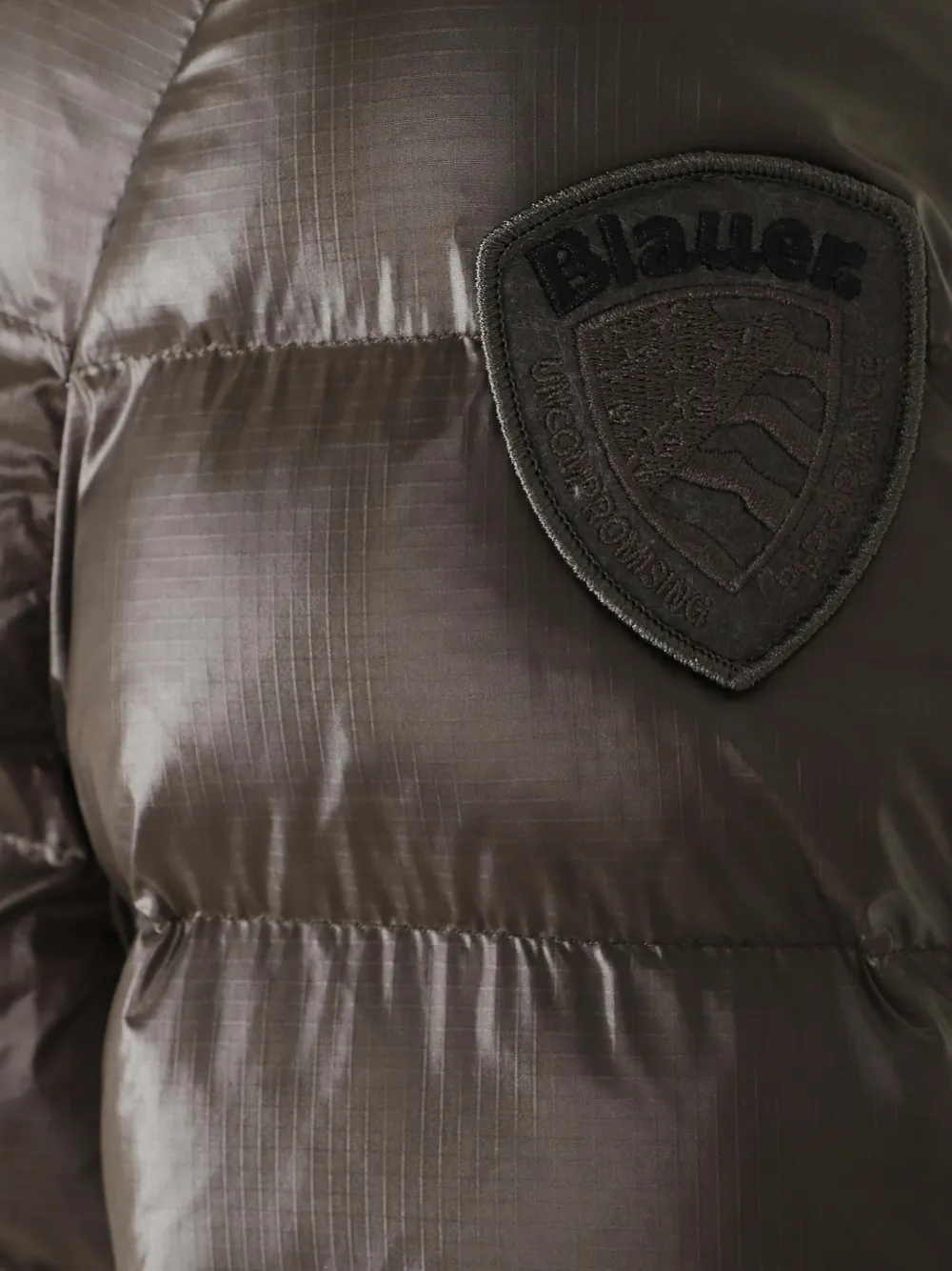 Blauer Adams donsjack met capuchon Bruin