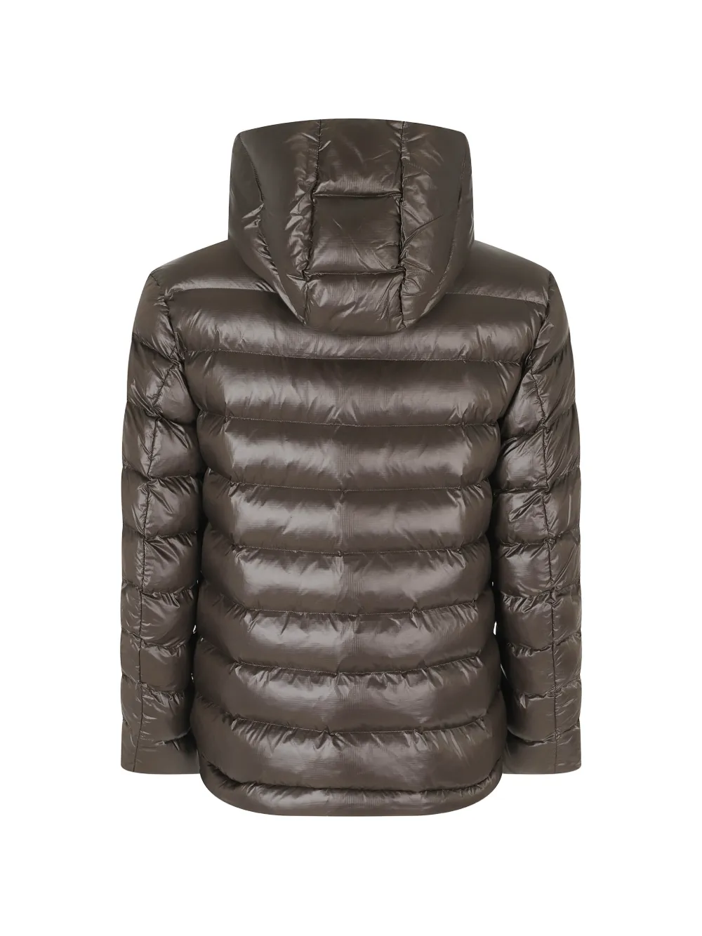 Blauer Adams donsjack met capuchon Bruin