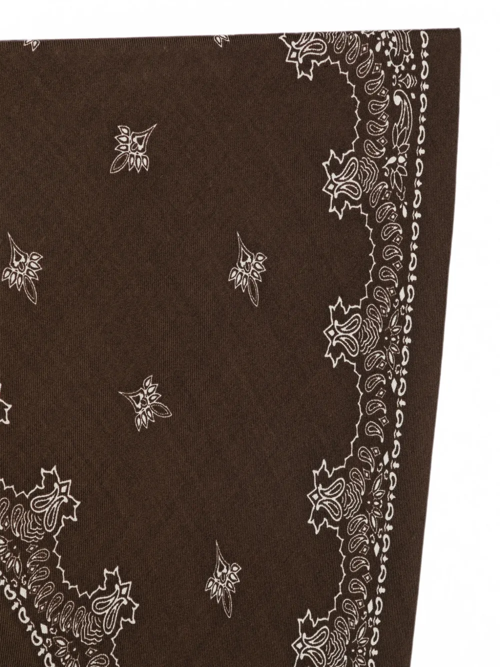 Destin Sjaal met paisley-print en stippen Bruin