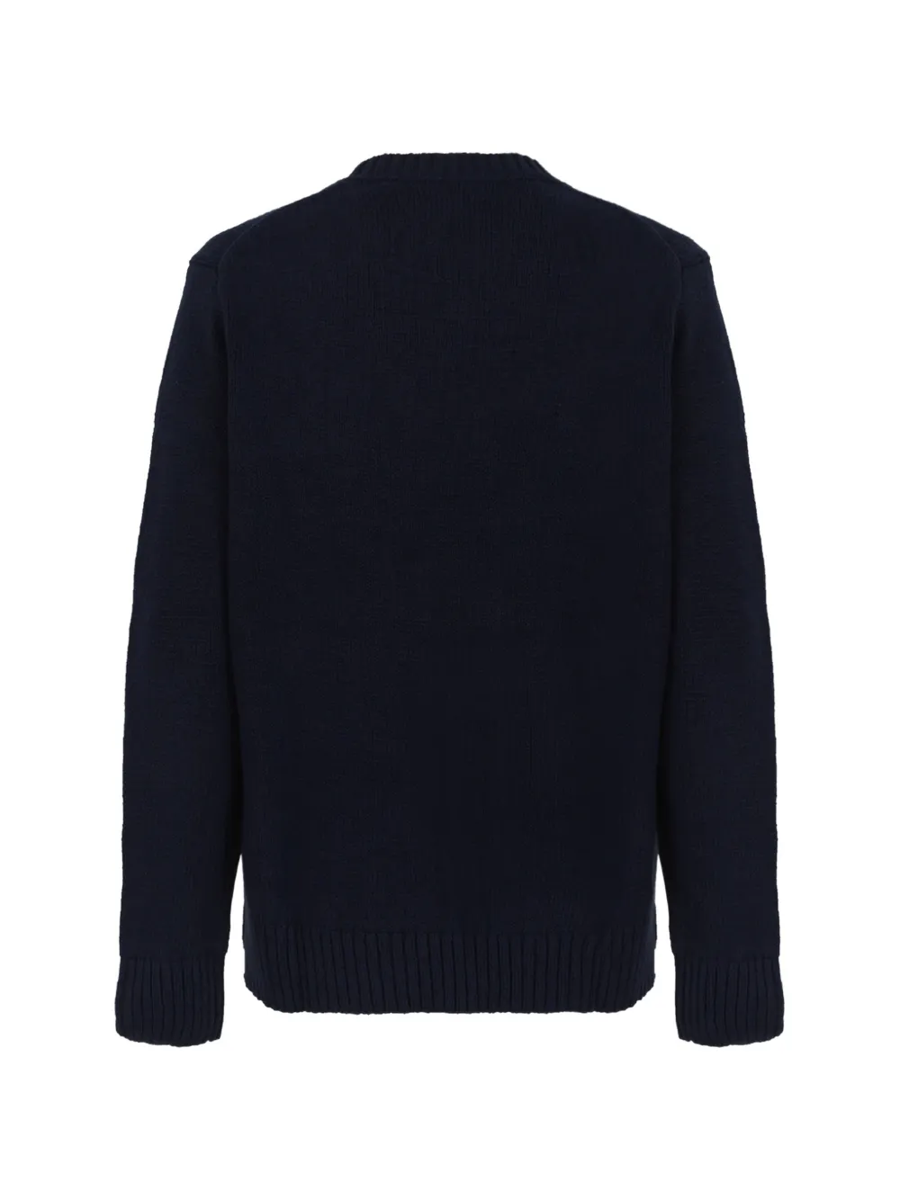 Polo Ralph Lauren Trui met lange mouwen Blauw