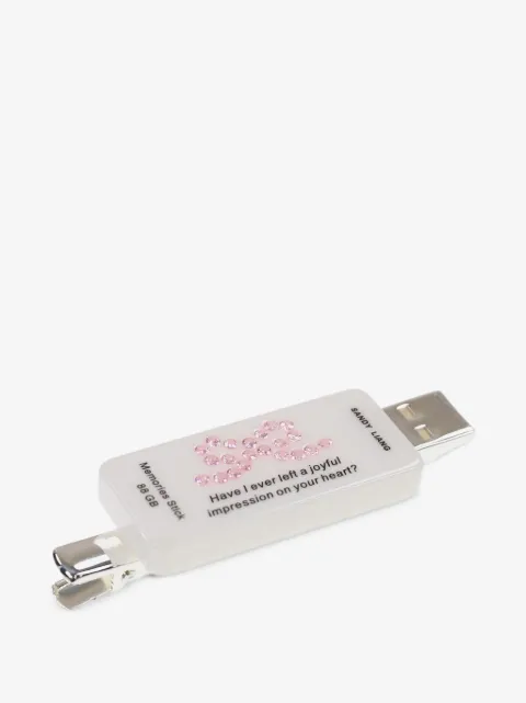 Sandy Liang 메모리즈 USB 헤어 클립