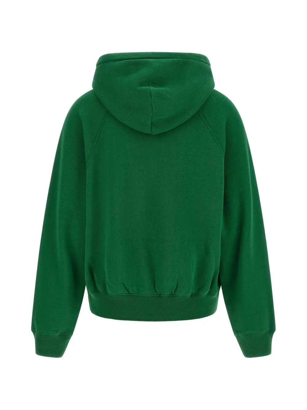 Polo Ralph Lauren Geborduurde hoodie met raglanmouwen Groen