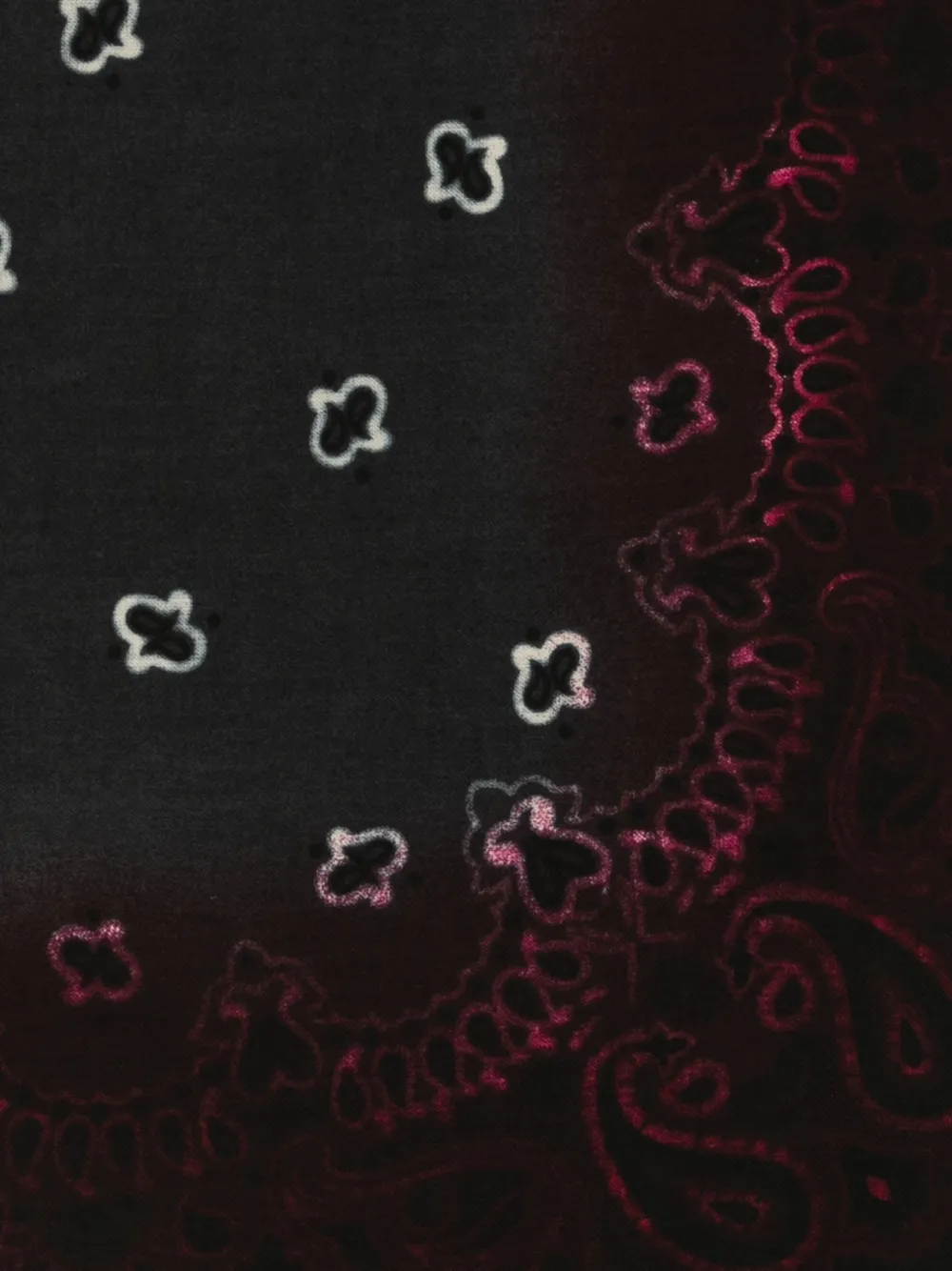 Destin Sjaal met paisley-print en franje Zwart
