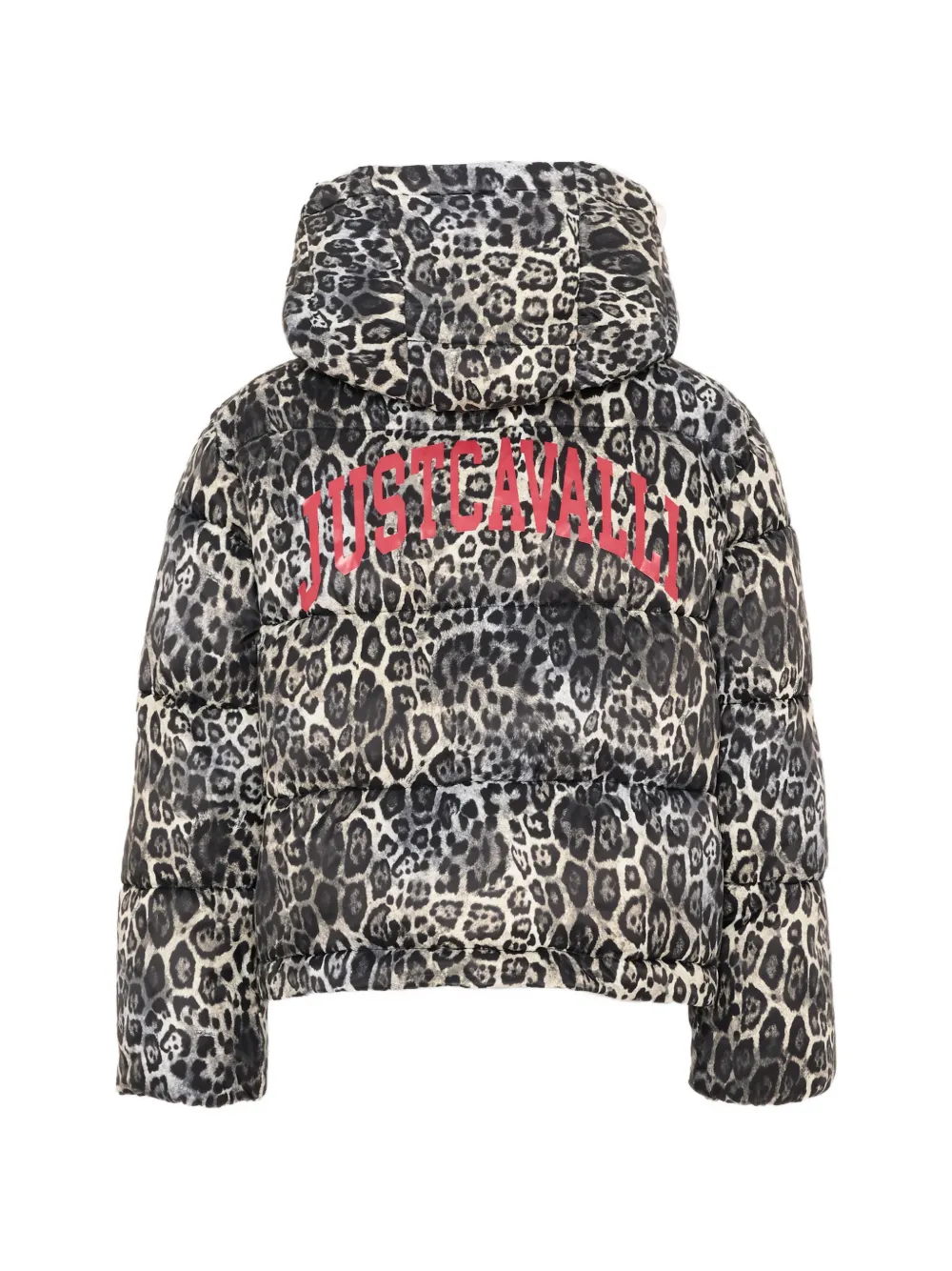 Just Cavalli Kids Gewatteerd jack met luipaard-print Grijs