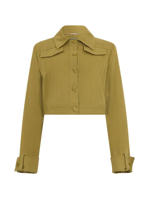 Alberta Ferretti button-fastening jacket