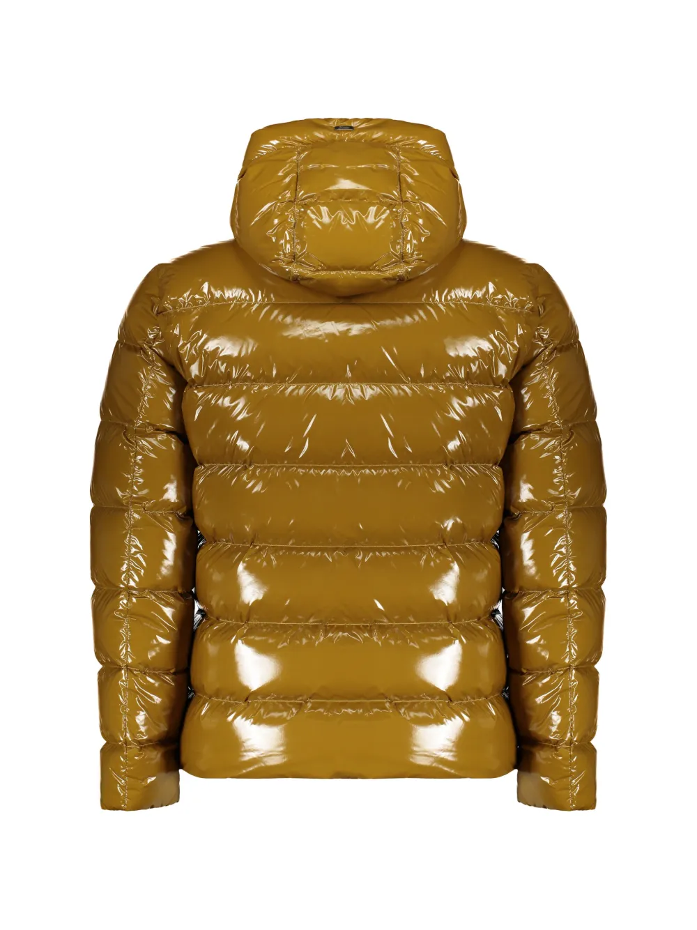 Herno Donsjack met capuchon Bruin
