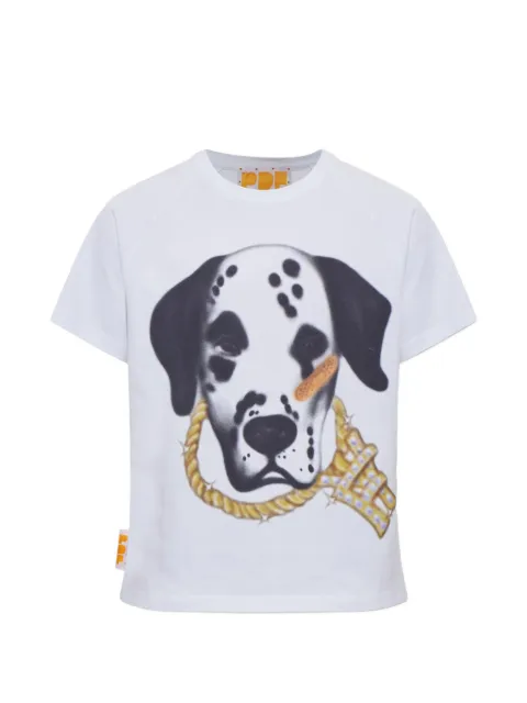 PDF graphic-print raglan-sleeve T-shirt
