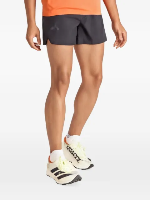 adidas Terrex Xperior Clima365 shorts