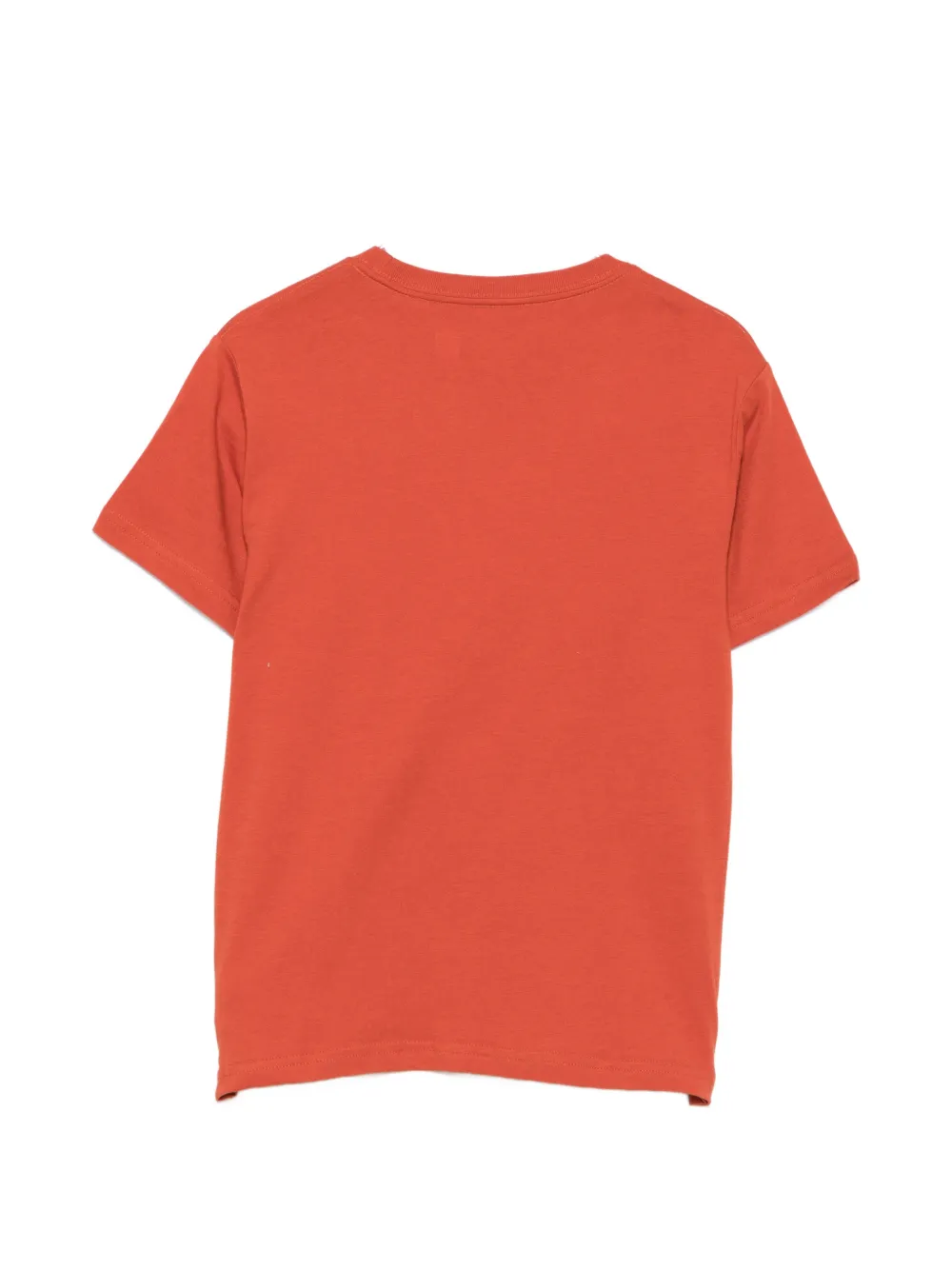 POLO RALPH LAUREN KIDS Sweater met teddybeerprint Oranje