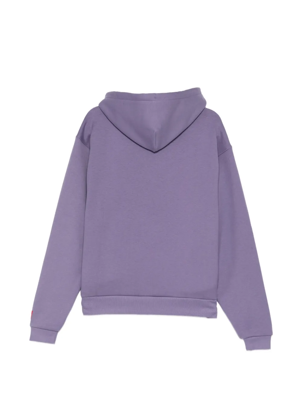 The North Face Hoodie met trekkoord Paars