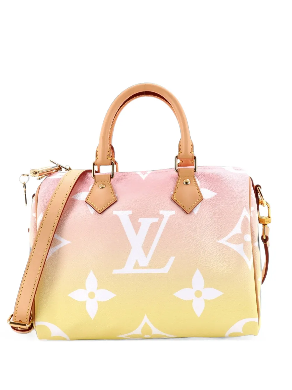 Louis Vuitton Pre-Owned Speedy Bandouliere Bag By The Pool Monogram Giant 25 satchel - Mehrfarbig
