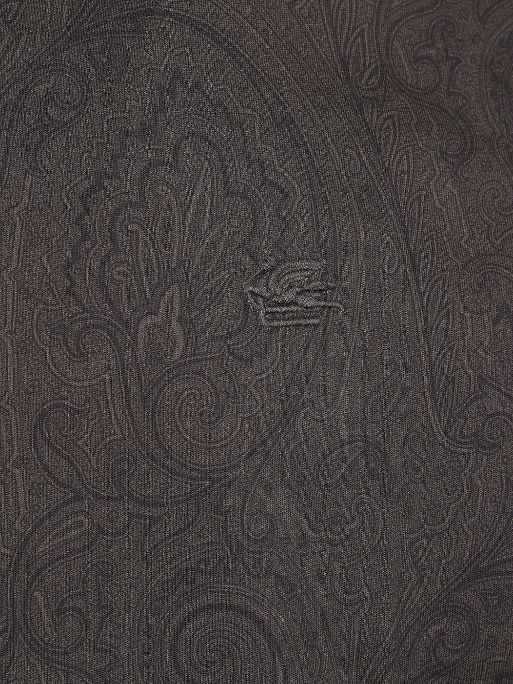 ETRO paisley-print logo-embroidered T-shirt Bruin