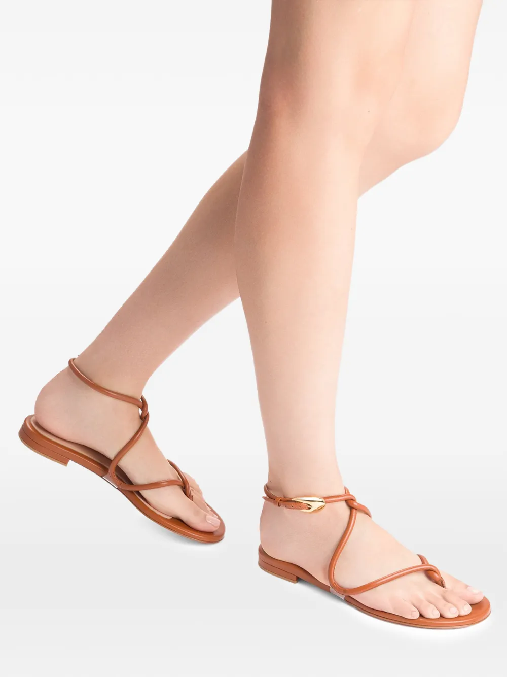 Gianvito Rossi Jungle Mamba flat sandals Bruin