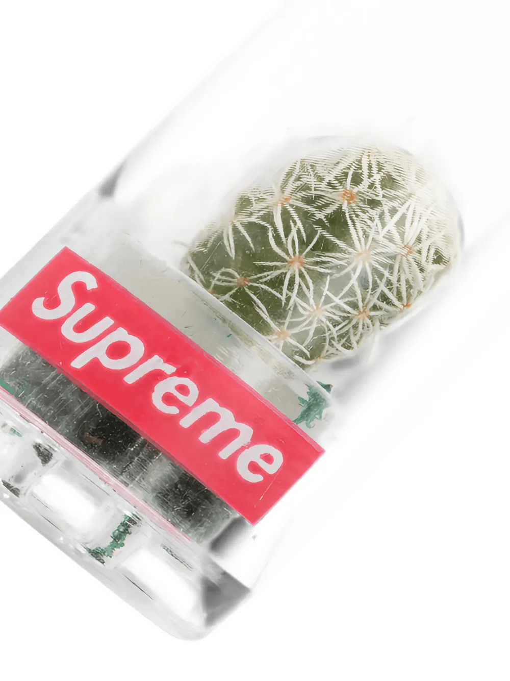 Supreme cactus-pendant keychain Wit