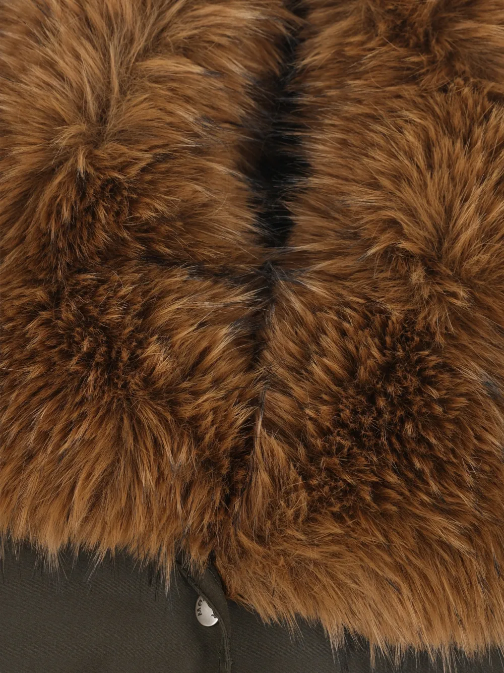 Moncler Halicte parka met capuchon en afwerking van imitatiebont Groen