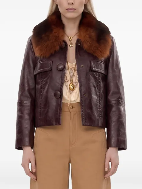 Chloé shearling-collar leather jacket