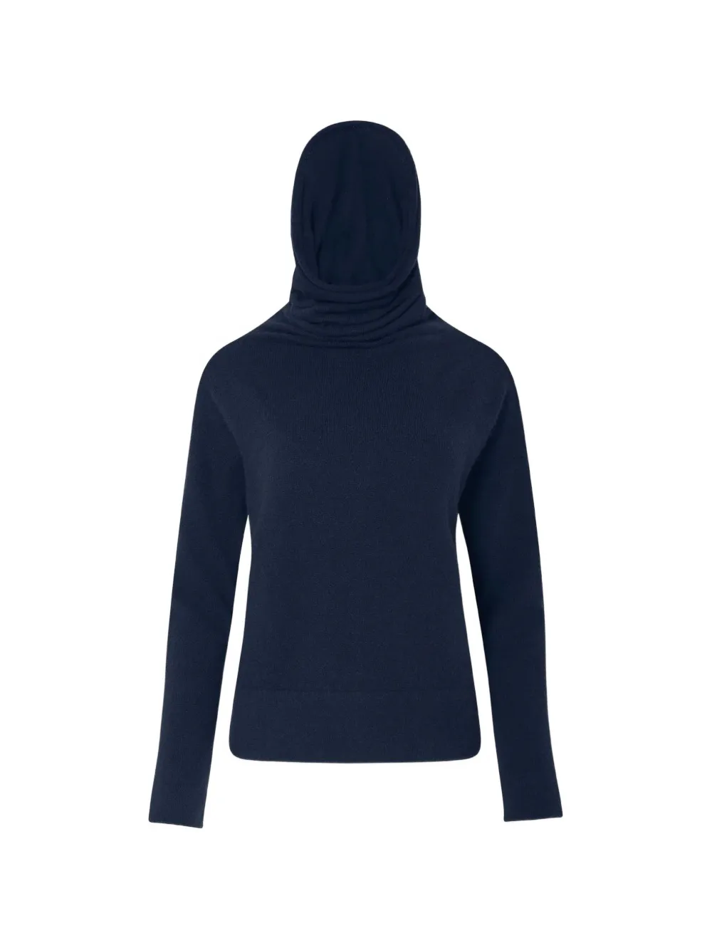 Altuzarra hooded sweater - Blu