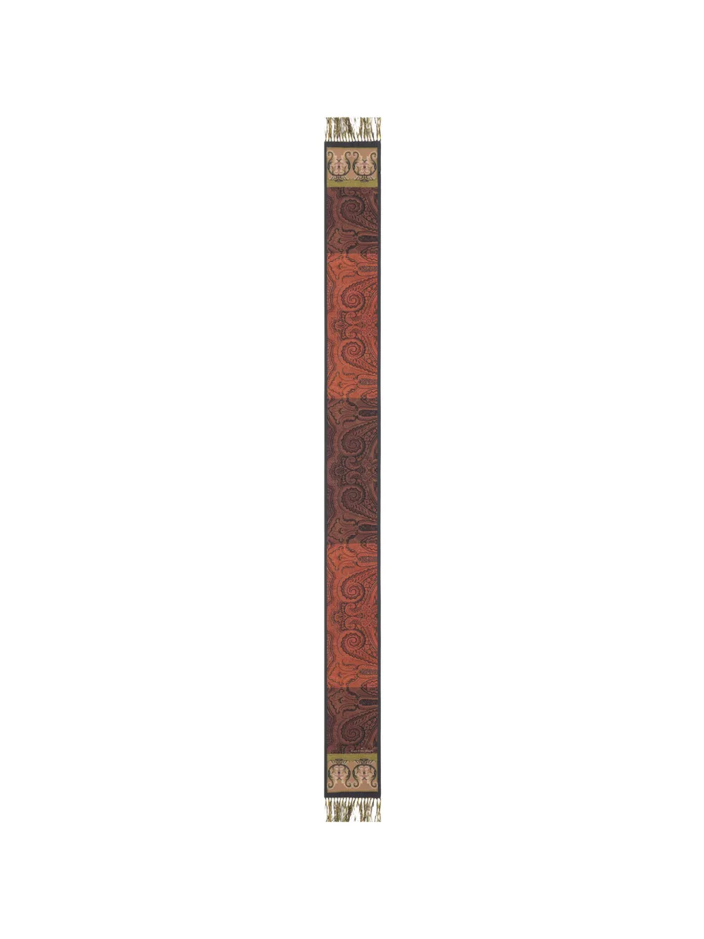 Pierre-Louis Mascia Aloewuf paisley floral-print fringed scarf - Marrone