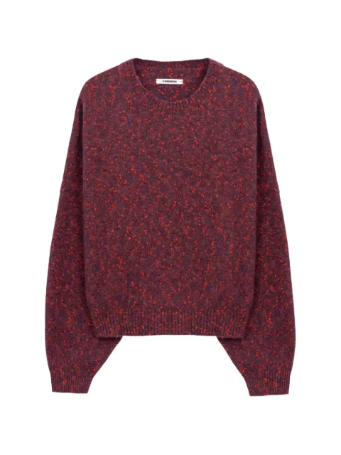 Cordera speckled crew-neck sweater