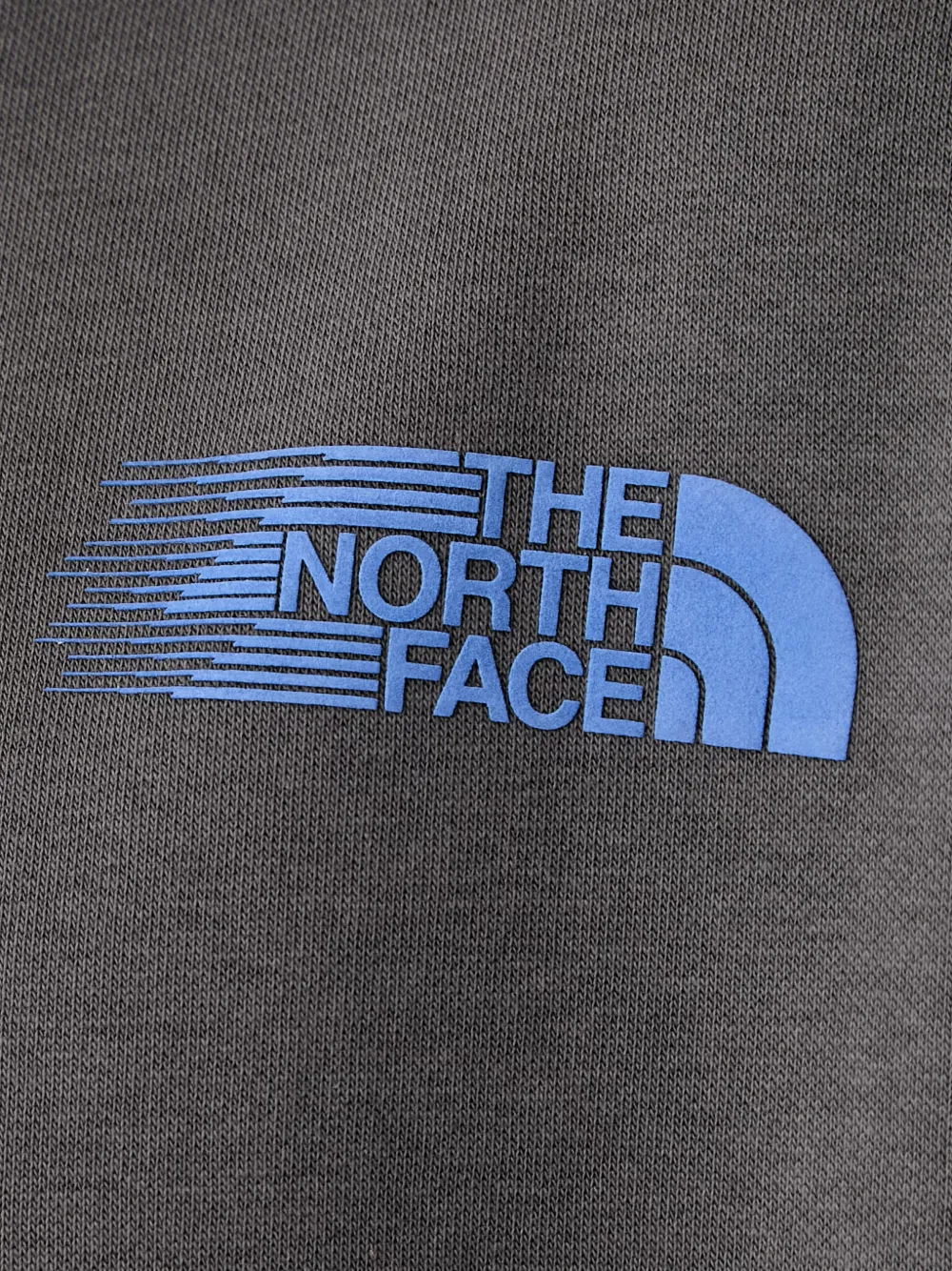 The North Face Sweater met logoprint Grijs