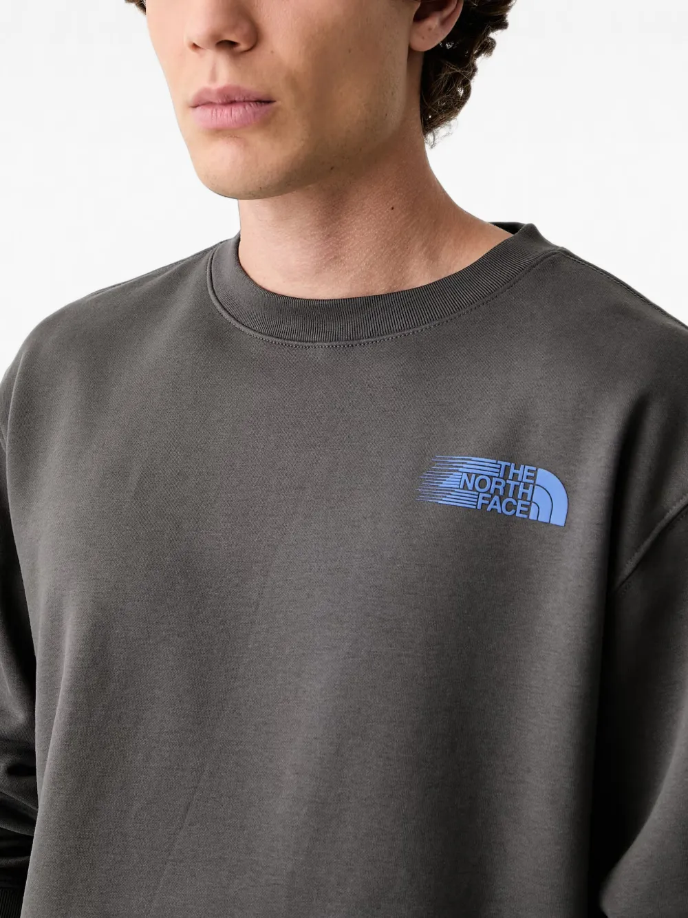 The North Face Sweater met logoprint Grijs