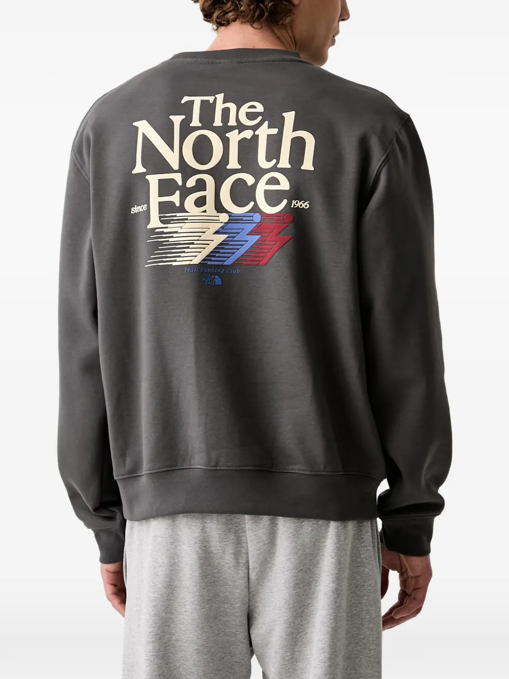 The North Face Sweater met logoprint Grijs