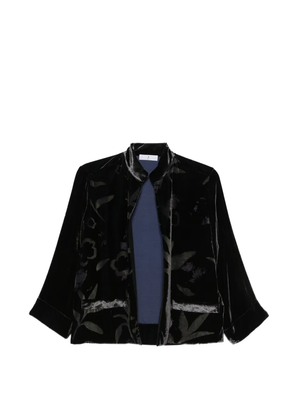 Why Ci floral-devoré velvet jacket