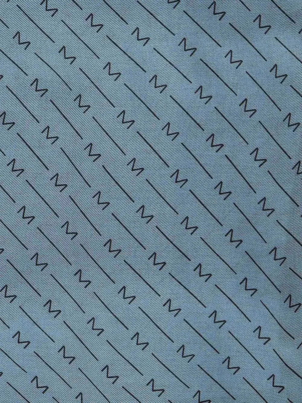 Max Mara logo-print fringed scarf Blauw