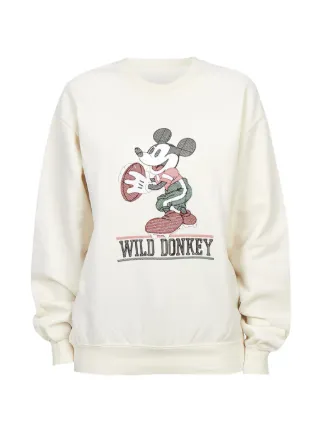 Wild Donkey