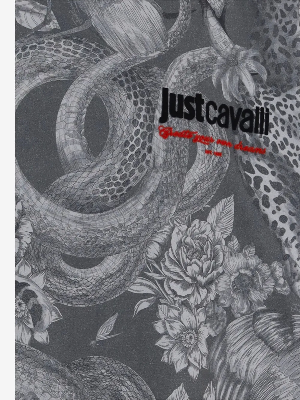 Just Cavalli T-shirt met dierenprint en logo-print Grijs