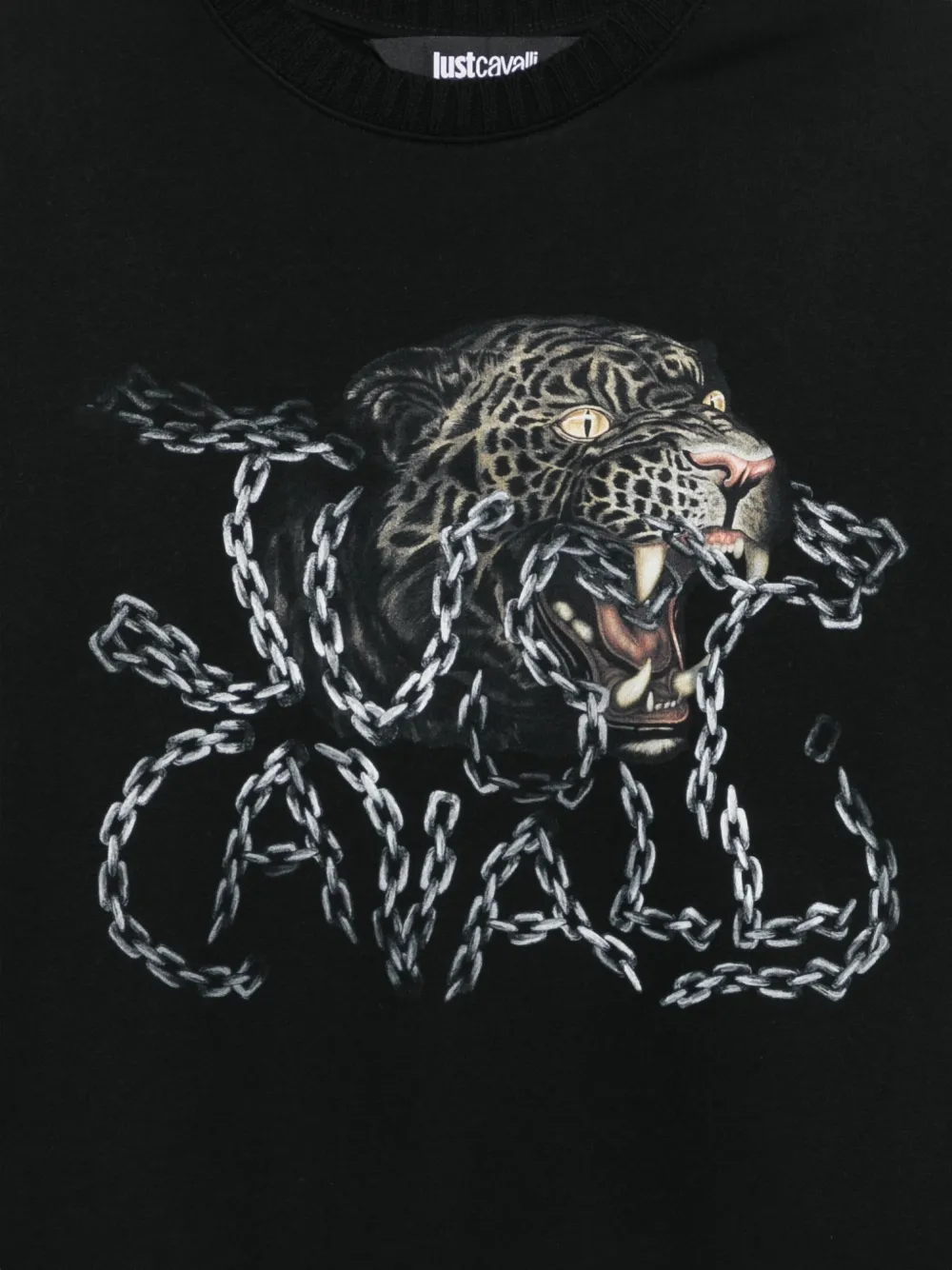 Just Cavalli leopard-print logo-print sweater Zwart