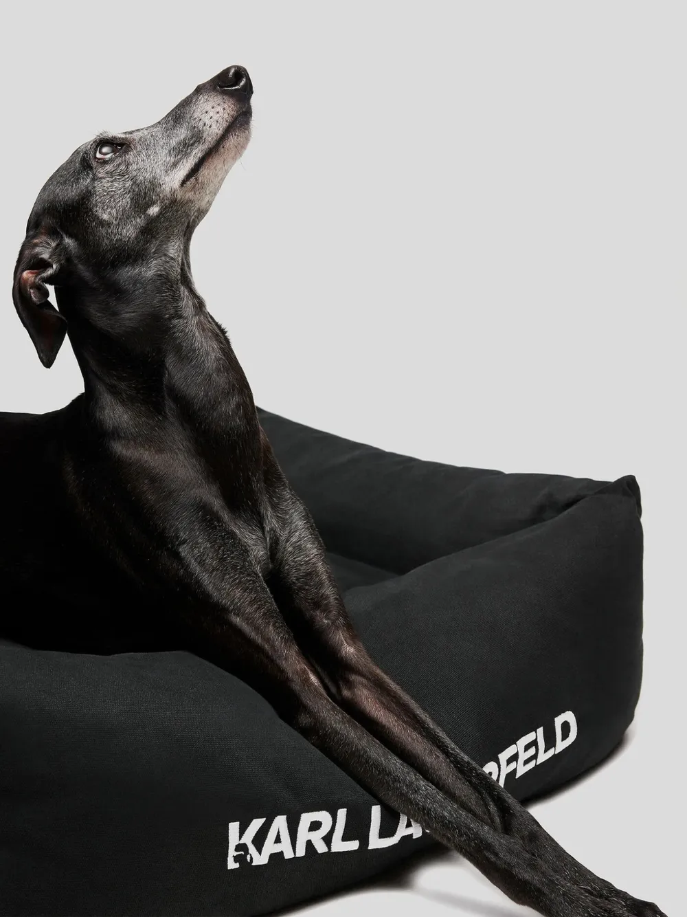 Karl Lagerfeld Huisdierenbed met geborduurd logo Zwart