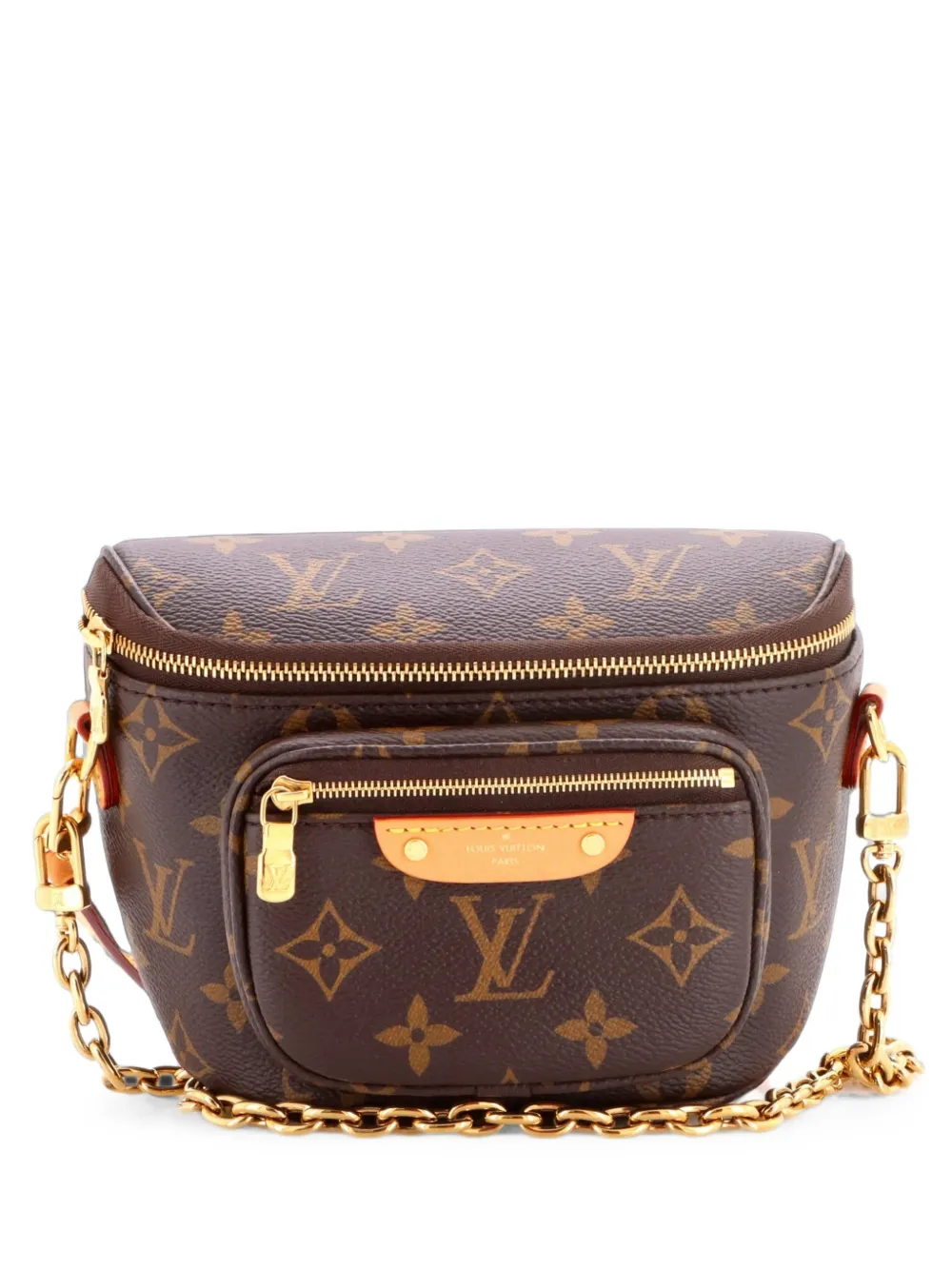 Louis Vuitton Pre-Owned Bum Bag Monogram Canvas Mini belt bag - Braun