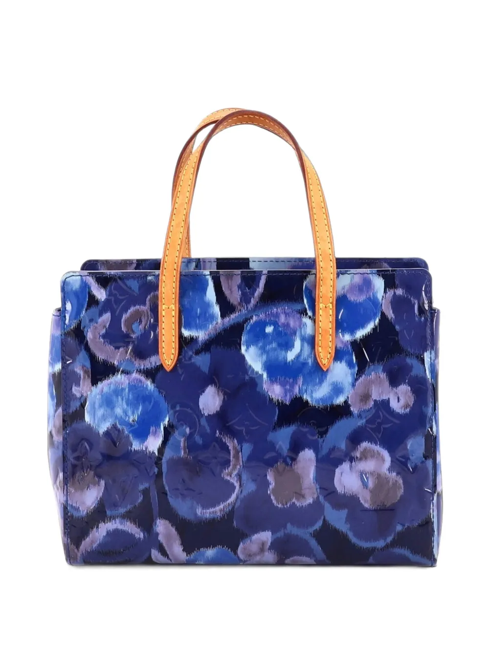 Louis Vuitton Pre-Owned Catalina Handbag Limited Edition Monogram Vernis Ikat BB tote bag - Blu