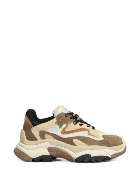 Ash Addict panelled chunky sneakers
