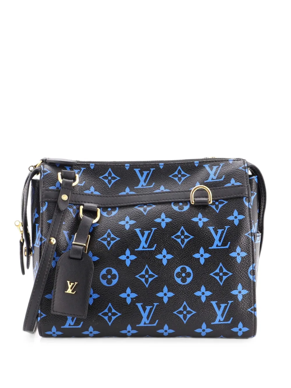 Louis Vuitton Pre-Owned Speedy Amazon Bag Monogram Canvas PM shoulder bag - Blu