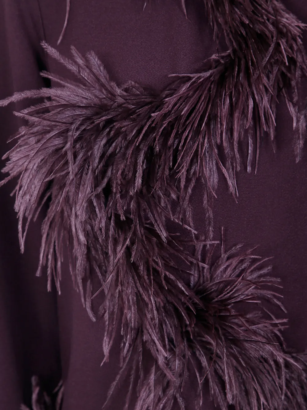 Antonelli feather-trim long-sleeved blouse Paars
