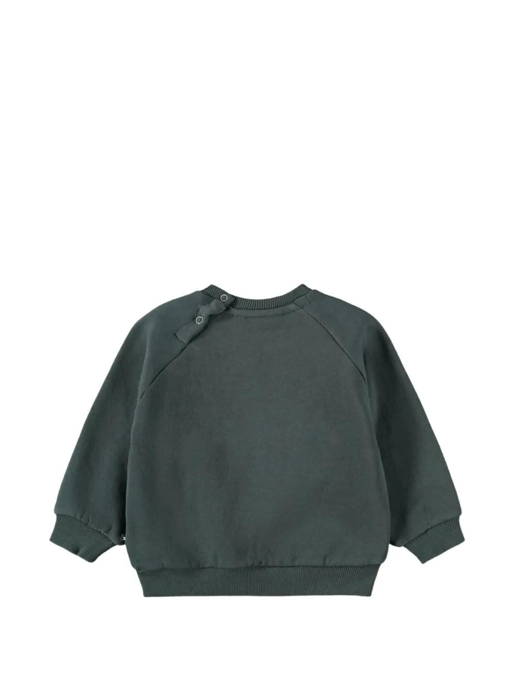 Molo Disc trui met raglanmouwen Groen