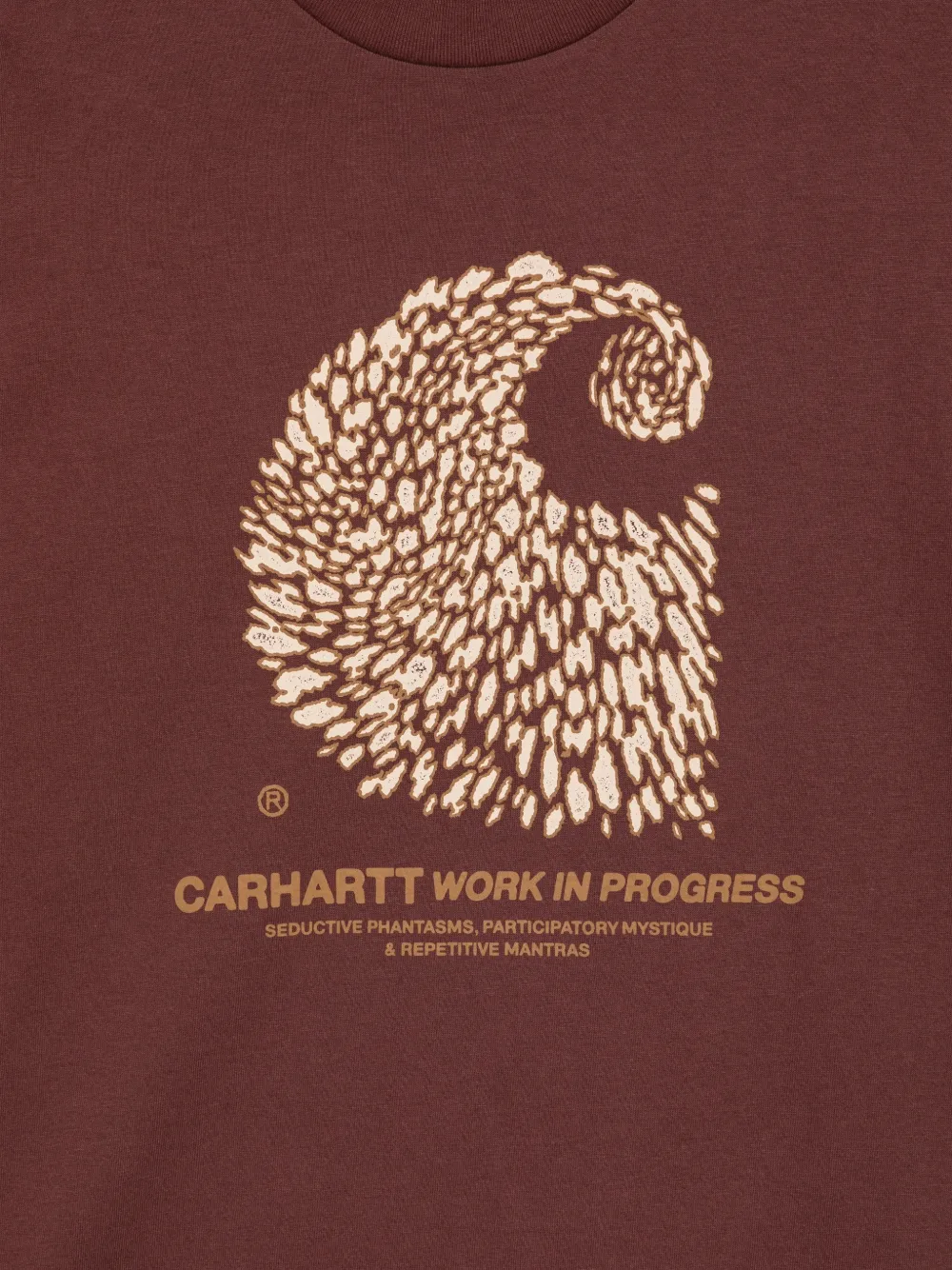 Carhartt WIP T-shirt met grafische print Bruin
