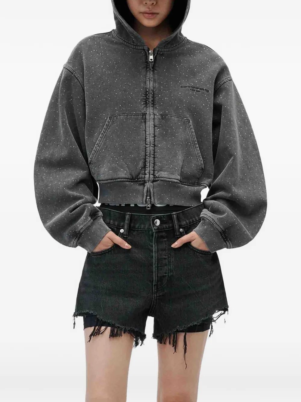 Alexander Wang Crystal Hotfix hoodie met rits Grijs