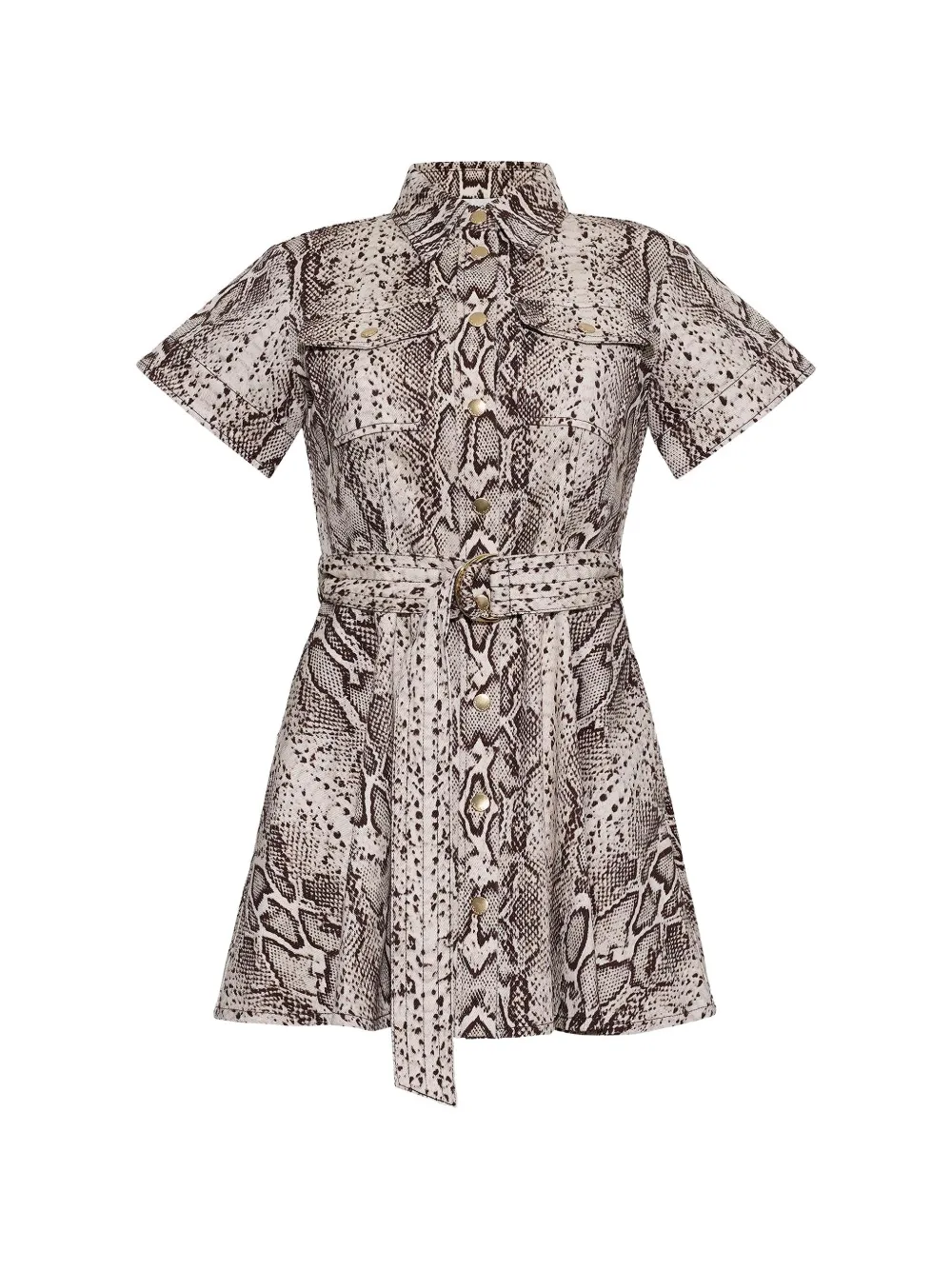 Cara Cara Walter animal-print mini dress - Toni neutri