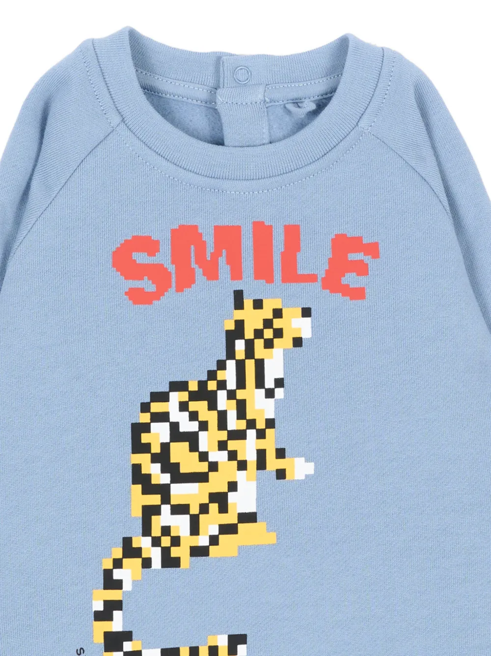Stella McCartney Kids Sweater met grafische print en raglan mouwen Blauw
