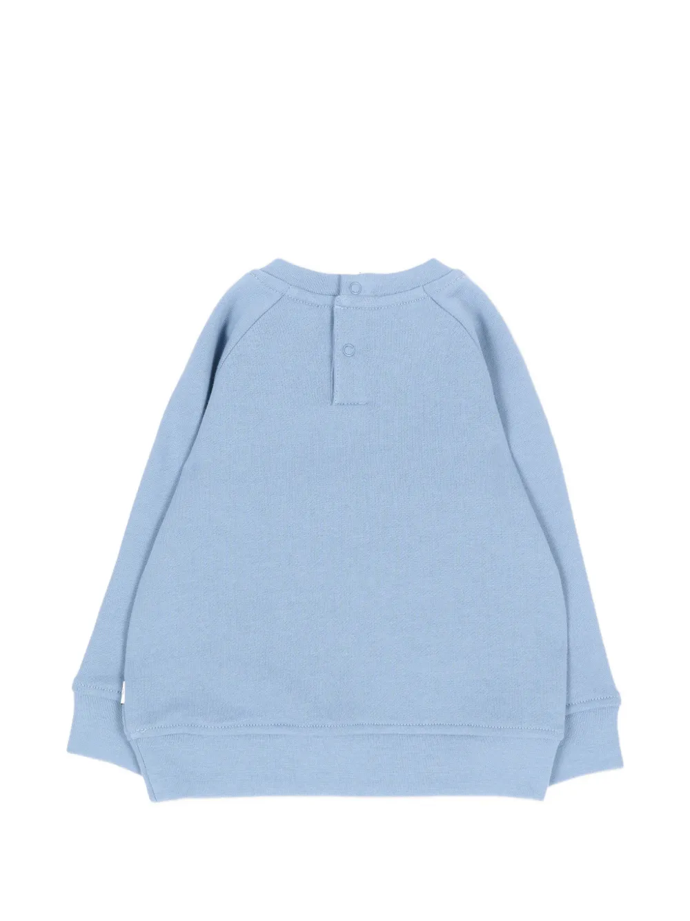 Stella McCartney Kids Sweater met grafische print en raglan mouwen Blauw