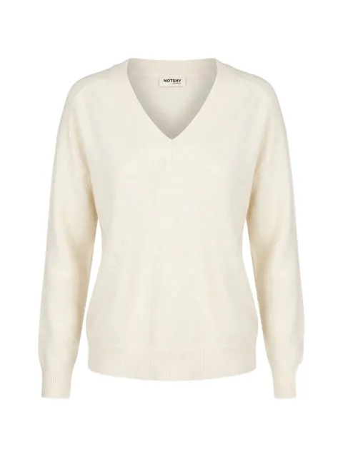 Not Shy V-neck cashmere sweater