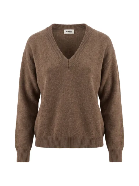 Not Shy V-neck cashmere sweater