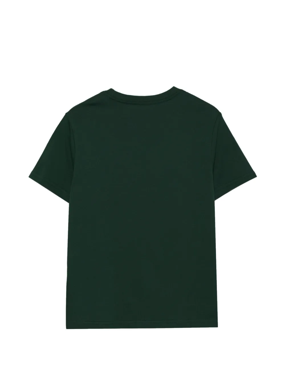 POLO RALPH LAUREN KIDS T-shirt met geborduurd logo Groen