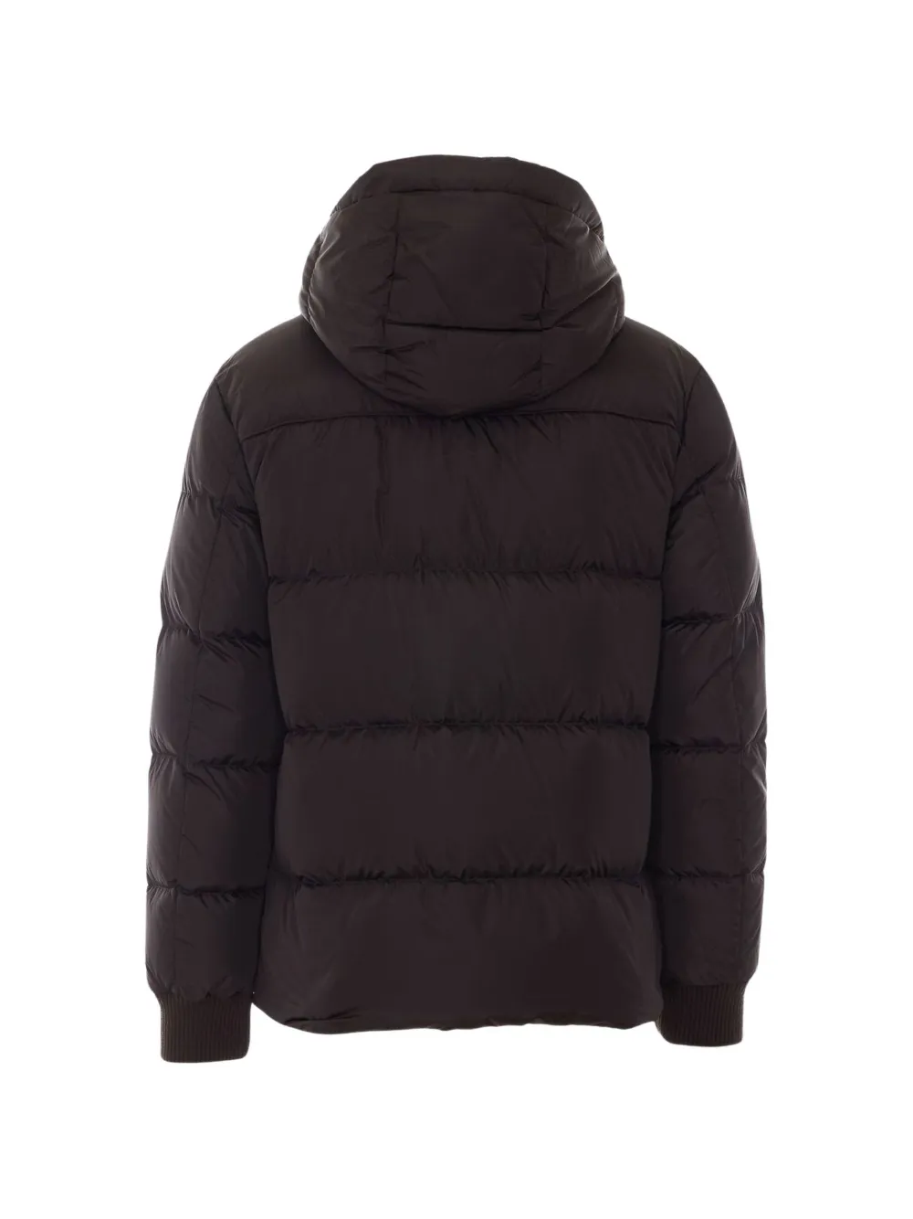 Add Gevoerd jack met capuchon Zwart