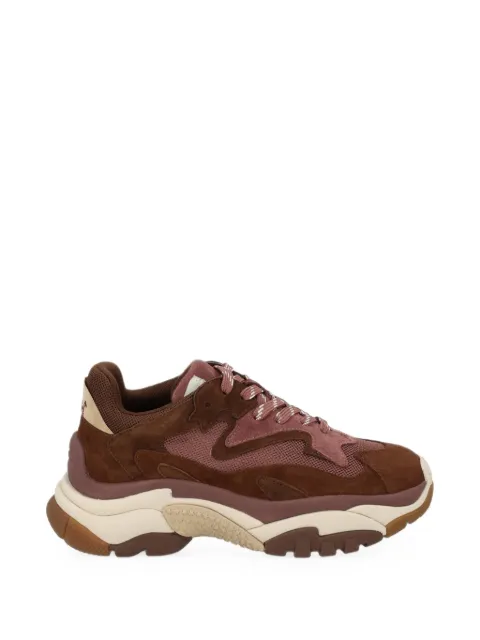 Ash Addict panelled sneakers