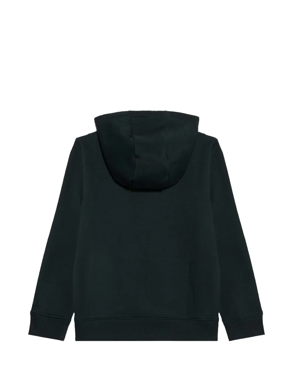 Lacoste Kids Hoodie met logoprint Groen